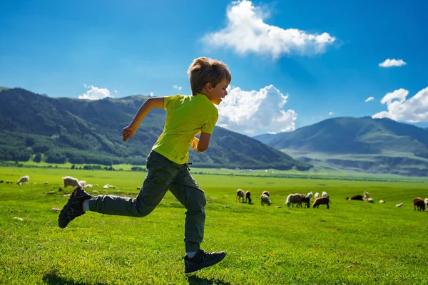 男孩在山地和草地上跑得快 有农场动物的背景 — 图库照片