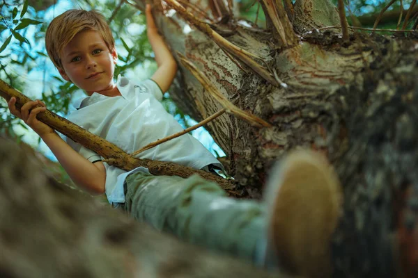 Portret Pięknego Chłopca Bawiącego Się Drzewie — Zdjęcie stockowe