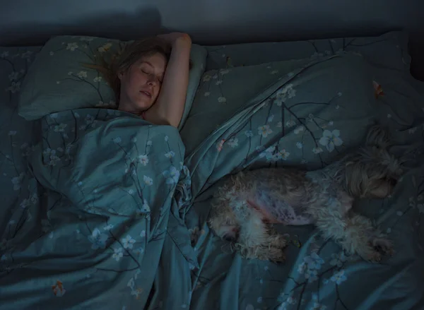 Junge Frau Schläft Morgens Mit Shih Tzu Hund Bett — Stockfoto
