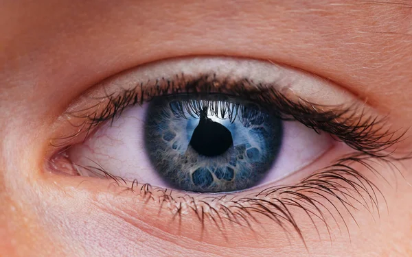 Крупный План Голубого Глаза Малыша — стоковое фото