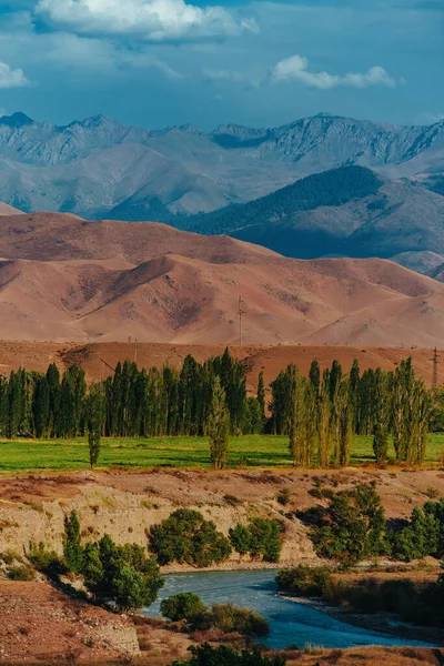 Живописный Летний Горный Пейзаж Рекой Кыргызстане — стоковое фото