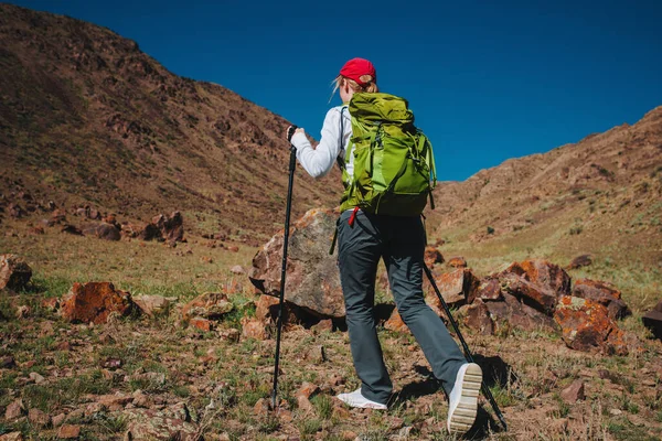 Giovane Escursionista Con Zaino Bastoni Trekking Passeggiate Lungo Sentiero Montagna — Foto Stock
