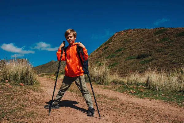 Boy hiker with backpack and trekking poles in the mountains