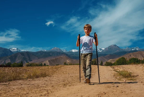 Chłopiec Podróżnik Kijkami Trekking Chodzenie Górach Drogi Lecie — Zdjęcie stockowe