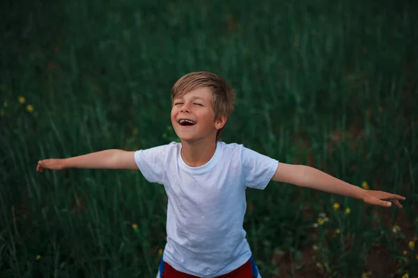 Yeşil Yaz Tarlasında Sevimli Gülen Çocuk Portresi — Stok fotoğraf