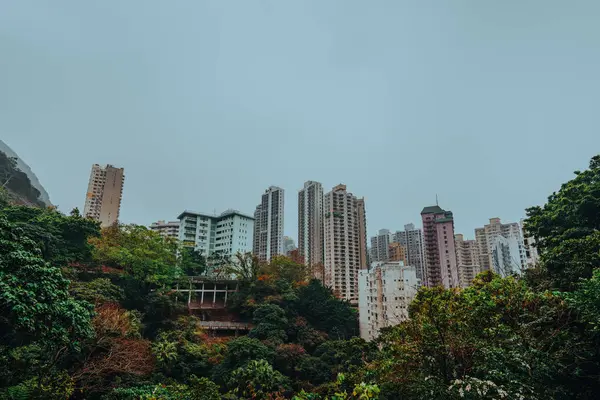 Міський Пейзаж Високими Житловими Будинками Парком Гонконгу Стокове Зображення