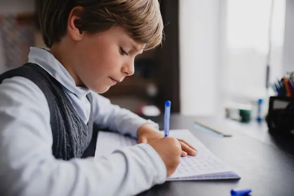 Boy Pupil Doing His Homework Home Stock Image