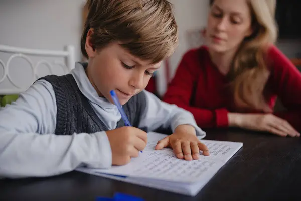 Boy Pupil Doing His Homework Home His Mother Stock Photo