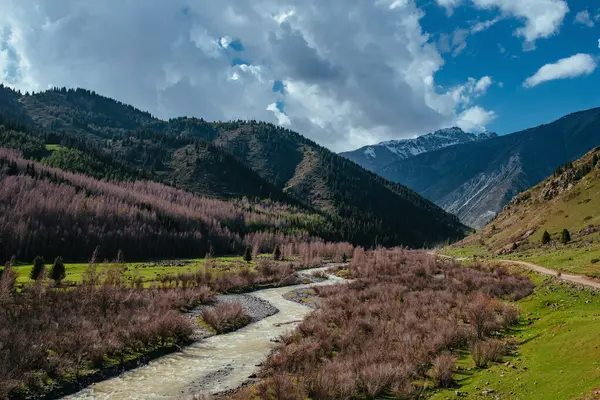 Pintoresco Valle Montañoso Con Río Corriendo Primavera Imagen de archivo