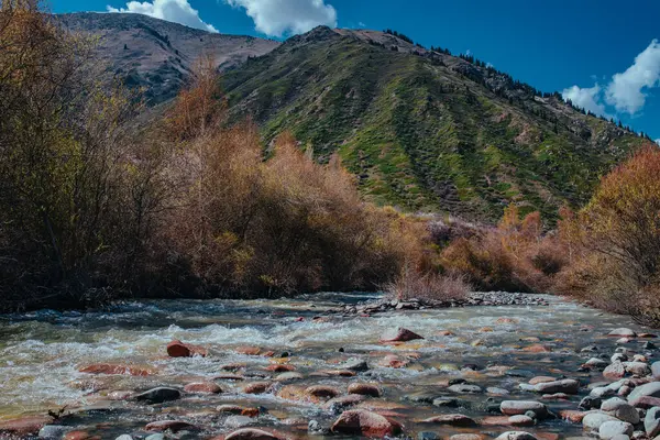 Indah Gunung Bergegas Sungai Musim Semi Asia Tengah Stok Gambar Bebas Royalti