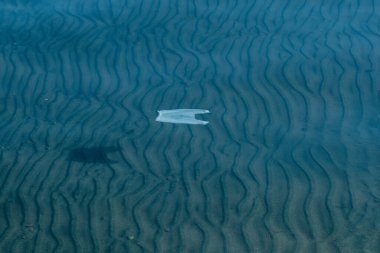 Yüzen plastik torbayla deniz suyu yüzeyi, ekoloji konsepti