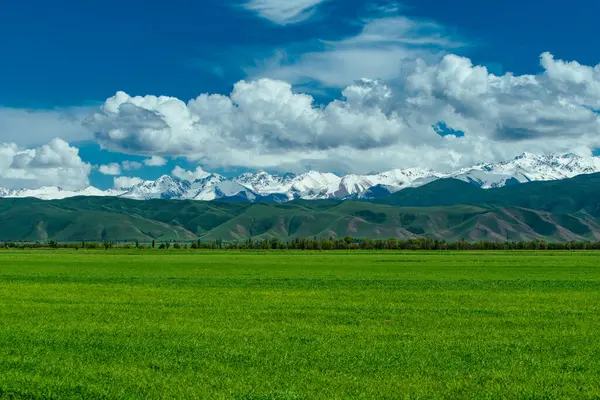 Yazın yeşil çayır ve yazın yüksek karlı dağlar.