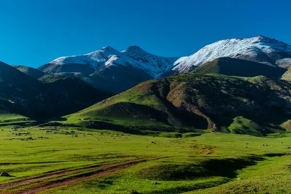 Yazın karla kaplı resimli dağ manzarası