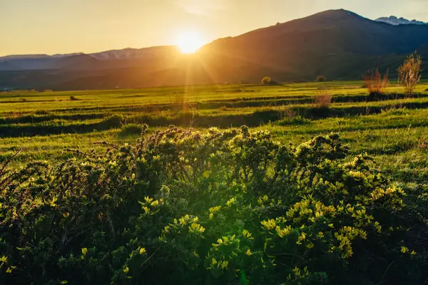 Yeşil çayır üzerinde gün batımı ışığı olan resimli dağ manzarası