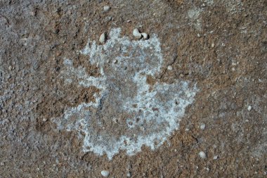 Kurumuş tuz arkaplanı ya da dokusu olan toprak