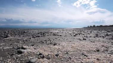 Küçük kabuklu göl kıyısı, yaz manzarası.