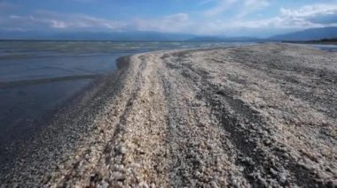 Küçük kabuklu göl kıyısı, yaz manzarası