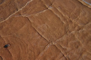 Sığ deniz suyu dalgalarının yüzeyi