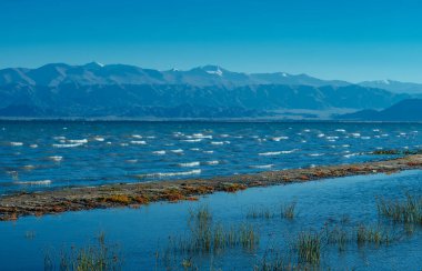Kırgızistan 'da Issky-kul Gölü, yaz manzarası