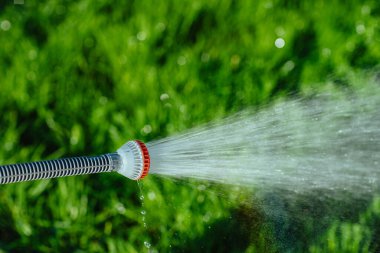 Çimleri sulamak, su ile kaplamak.