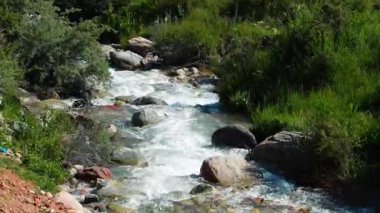 Dağ nehri yazı Güzel manzara