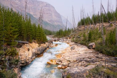 Fırtınalı Dağ Nehri kayalık geçidin ortasında akar, Kootenay Ulusal Parkı, Vermilion Nehri, British Columbia, Kanada, Güzel Manzara