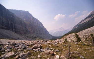 Kanada Kayalıklarında Güneşli Sabah Gorge Trail, Kanada, Güzel Manzara