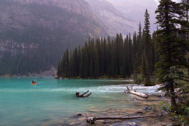 Alberta, Kanada - 4 AĞUSTOS 2021: Kırmızı Kayıkta Paddlers Cano, Moraine Gölü 'nün Su Aynası, Banff