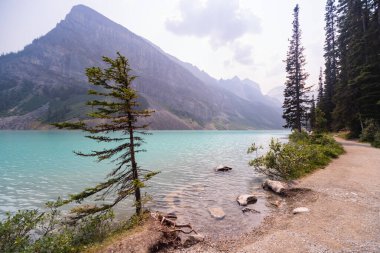 Kanada Rocky Dağları Arkasında, Banff Ulusal Parkı, Alberta, Kanada