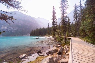 Moraine Gölü Sahil Yolu Kanada Rocky Dağları Arkası, Banff Ulusal Parkı, Alberta, Kanada