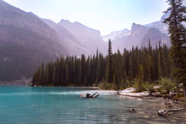 Moraine Gölü 'nde Eski Ağaç Kütüğü Kanadalı Rocky Dağları Arkasında, sisli yaz günü, Banff, Alberta, Kanada