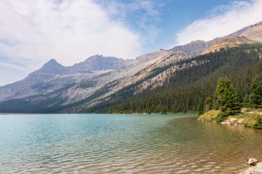 Bow Lake Turkuaz Su Kıyısı Orman ve Kanada Rocky Dağları ile çevrili, Güneşli Yaz Günü, Banff Ulusal Parkı, Alberta, Kanada