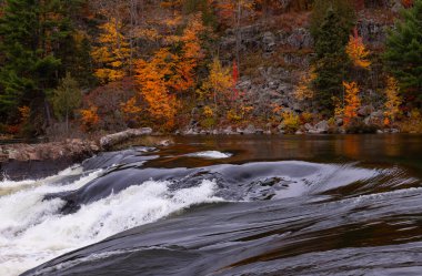 Recollet Şelalesi 'nin Fransız Nehri' ndeki hızlı su girdapları. Killarney, Ontario, Kanada 'daki Fransız Nehri İl Parkı' nda Gri Fırtınalı Sonbahar Günü