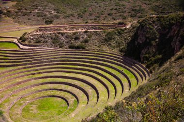 And Dağları Kutsal Vadisi, Moray, Cusco Bölgesi, Peru, Güney Amerika 'daki Daire Teraslı Eski İnka Tarım Mirası Bölgesi
