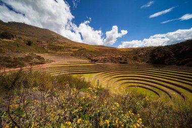And Dağları Kutsal Vadisi, Moray, Cusco Bölgesi, Peru, Güney Amerika 'daki Daire Teraslı Eski İnka Tarım Mirası Bölgesi