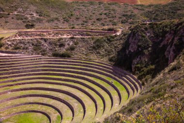 And Dağları Kutsal Vadisi, Moray, Cusco Bölgesi, Peru, Güney Amerika 'daki Daire Teraslı Eski İnka Tarım Mirası Bölgesi