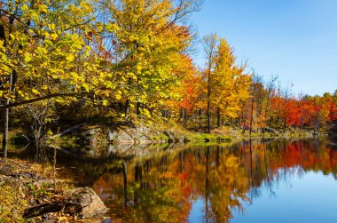 Parlak Sonbahar Ağacı Yaprak Renkleri Göl Ayna Yüzeyi 'ne yansıyor Marsh Alanlarıyla, Mavi Gökyüzü Güneşli Günü, Frontenac Park, Ontario, Kanada