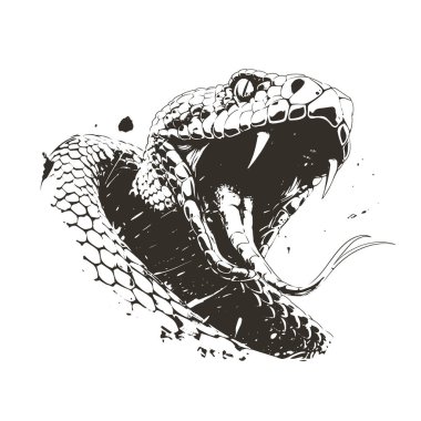 Saldıran yılan başının detaylı siyah beyaz vektörü izole edildi. Parmak izi, giysi ve amblem için mükemmel. Yüksek kontrastlı grunge tarzı. Vahşi yırtıcı grafiği ham gücü ve tehlikeyi yakalar.