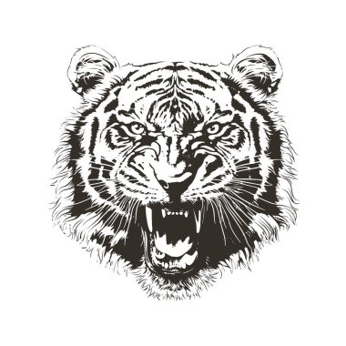 Kükreyen kaplan kafasının ayrıntılı siyah beyaz vektörü izole edildi. Parmak izi, giysi ve amblem için mükemmel. Yüksek kontrastlı grunge tarzı. Vahşi yırtıcı grafiği ham gücü ve tehlikeyi yakalar.
