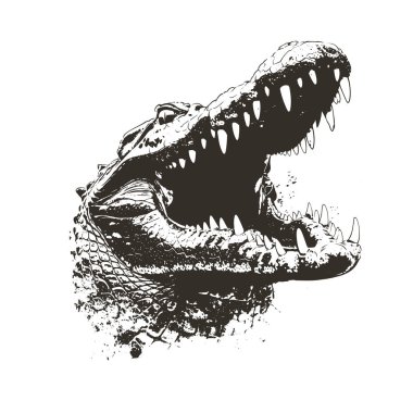 Kükreyen timsah kafasının detaylı siyah beyaz vektörü izole edildi. Parmak izi, giysi ve amblem için mükemmel. Yüksek kontrastlı grunge tarzı. Vahşi yırtıcı grafiği ham gücü ve tehlikeyi yakalar.
