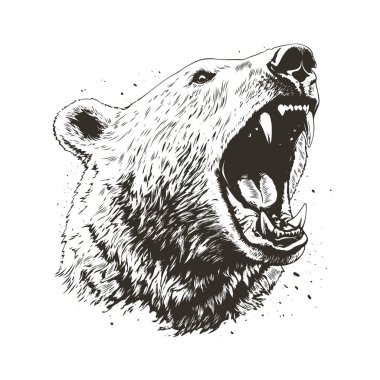 Kükreyen kutup ayısı kafasının ayrıntılı siyah beyaz vektörü izole edildi. Parmak izi, giysi ve amblem için mükemmel. Yüksek kontrastlı grunge tarzı. Vahşi yırtıcı grafiği ham gücü ve tehlikeyi yakalar.