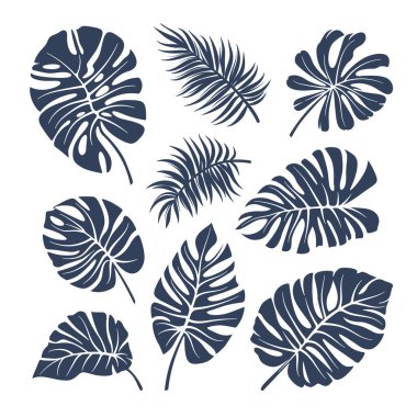 İzole edilmiş tropikal yaprak şekilleri. Dalların siluetleri ve tropik bitkilerin yaprakları.
