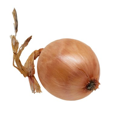 Image of ripe onion vegetable in peel on white background
