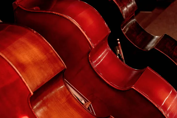 Fondo Imagen Tres Instrumentos Musicales Madera Cuerda Contrabajo —  Fotos de Stock