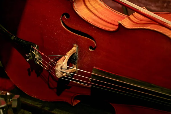 Image Large Double Bass Lies Stage — Stock Photo, Image