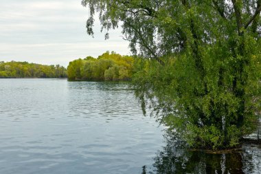 Yasak boyunca ağaçlarla kaplı büyük bir nehrin görüntüsü