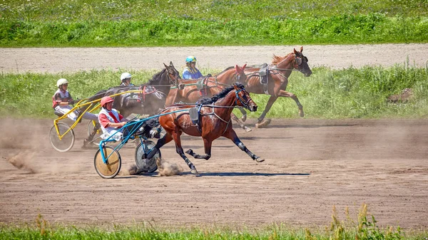 Kyiv Ukraine August 2023 Hippodrome Racing Trotters — Stock Photo, Image