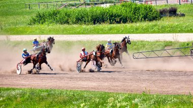 Kyiv Ukrayna 6 Ağustos 2023 Hipodrom yarış koşucuları