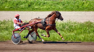 Kyiv Ukrayna 6 Ağustos 2023 Hipodrom yarış koşucuları