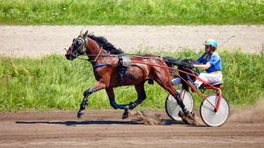 Kyiv Ukrayna 6 Ağustos 2023 Hipodrom yarış koşucuları